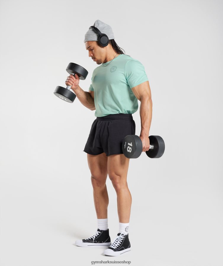 ch Gymshark Hommes t-shirt héritage vert aqua 02FP6T766 vêtements